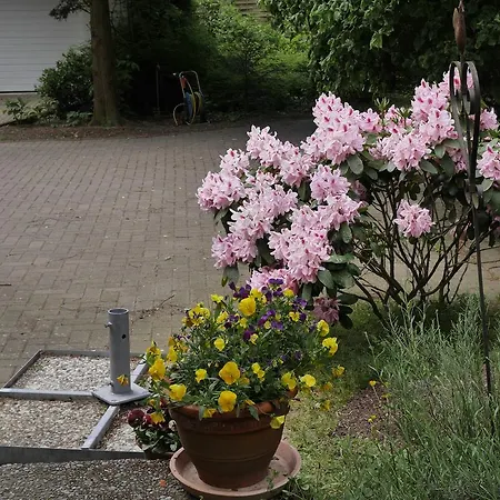 Kuekenkamp Bed & Breakfast Rätzlingen